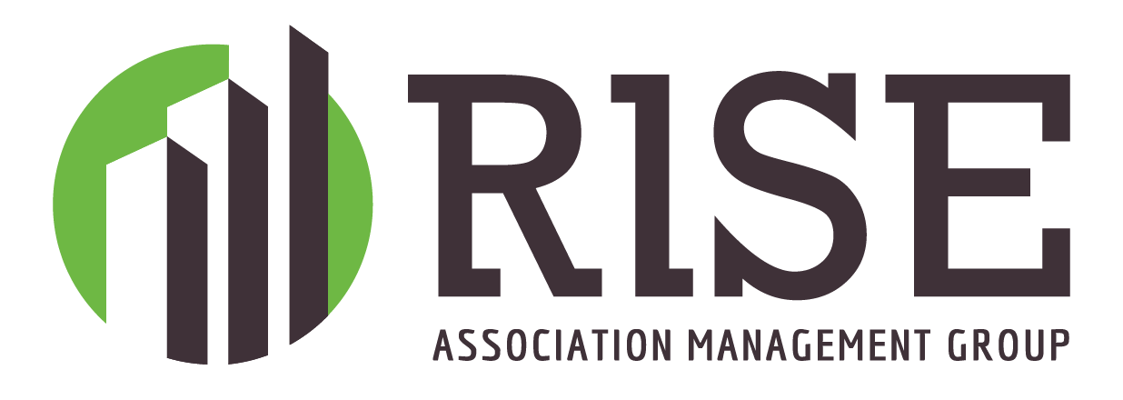 Rise Association Management Group, LLC logo