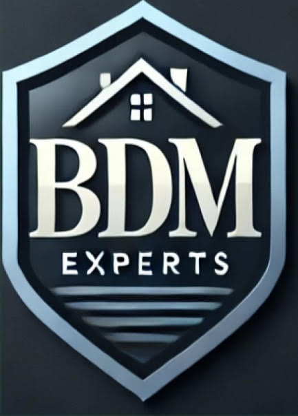 BDM Experts logo