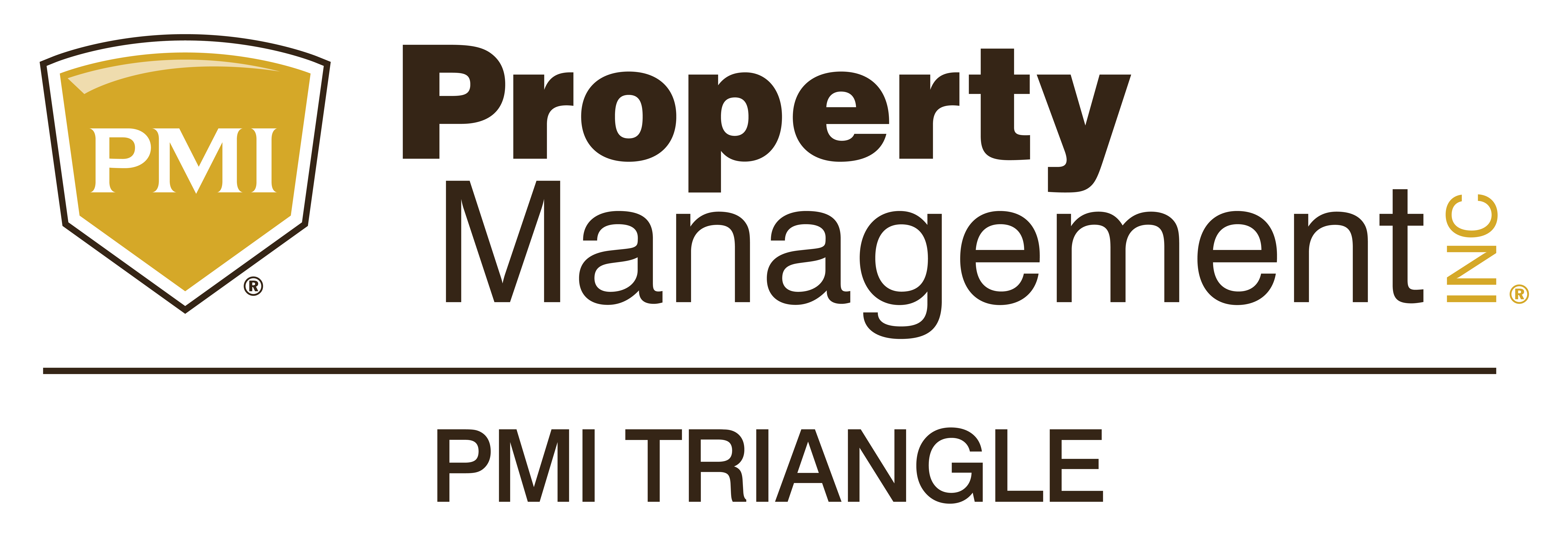 PMI Triangle logo