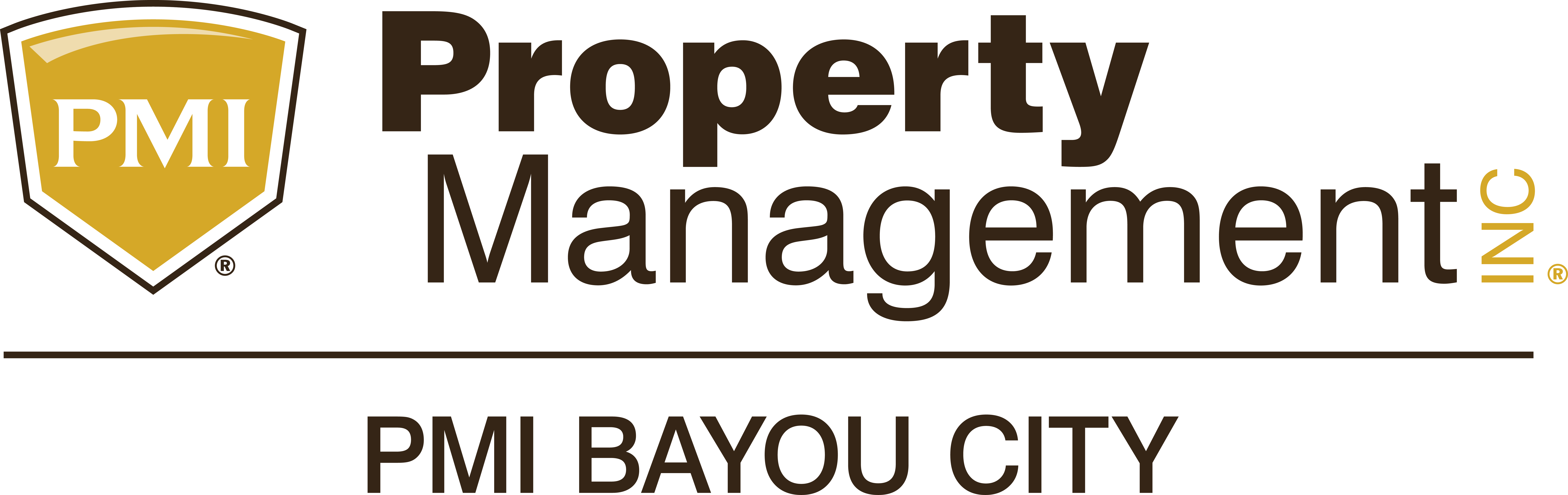 PMI-Bayou City logo