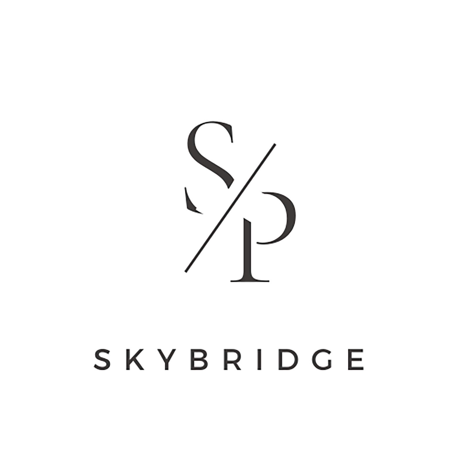 Skybridge Property Group logo