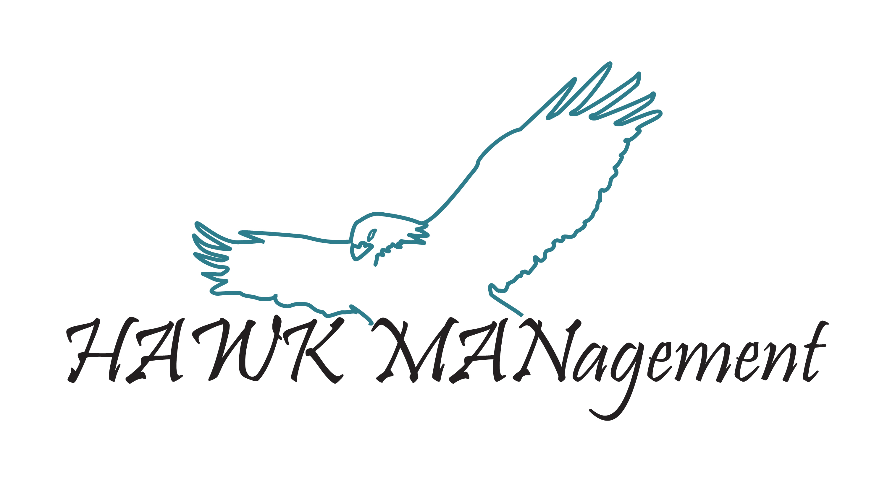 Hawk Mgmt, Inc. logo