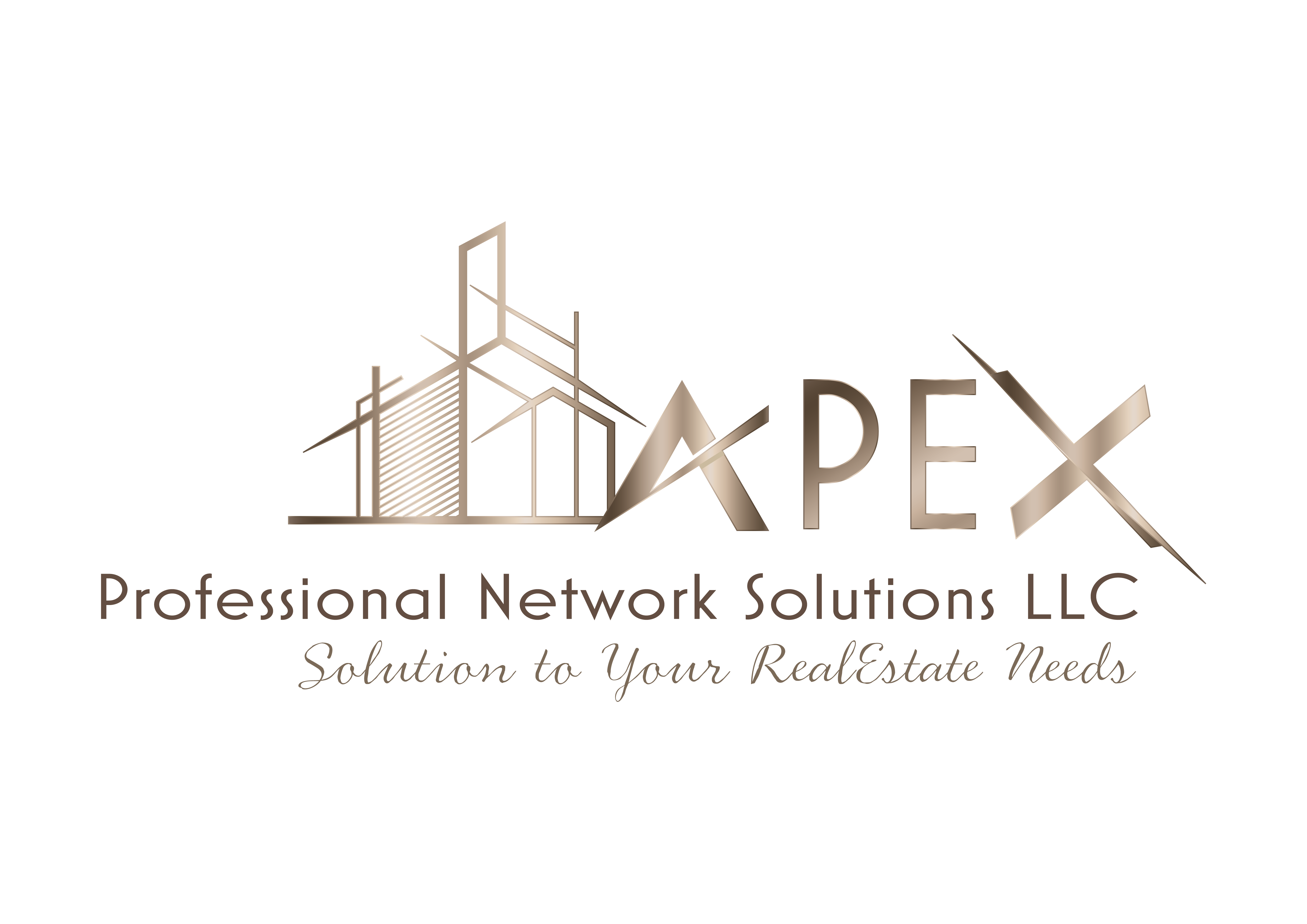 Apex Professional Network Solutions LLC logo