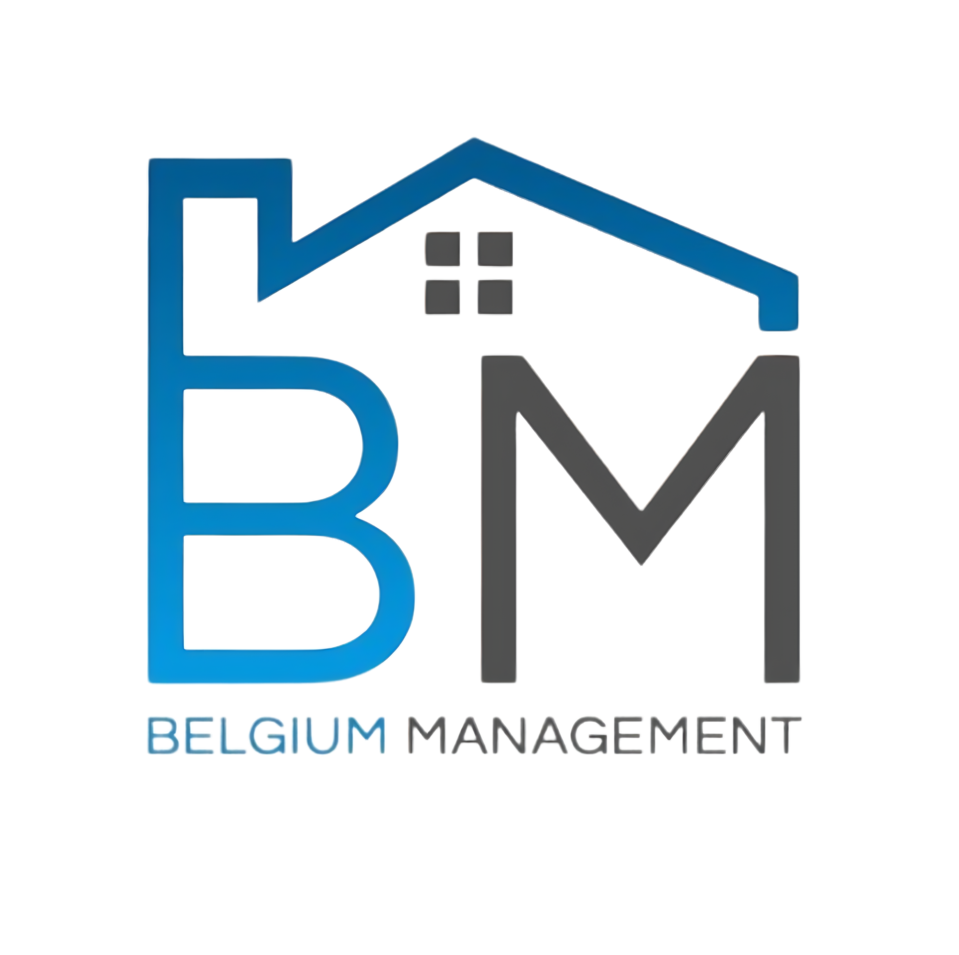 Belgium Management LLC logo