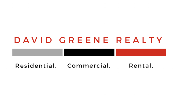 David Greene Realty - SC logo