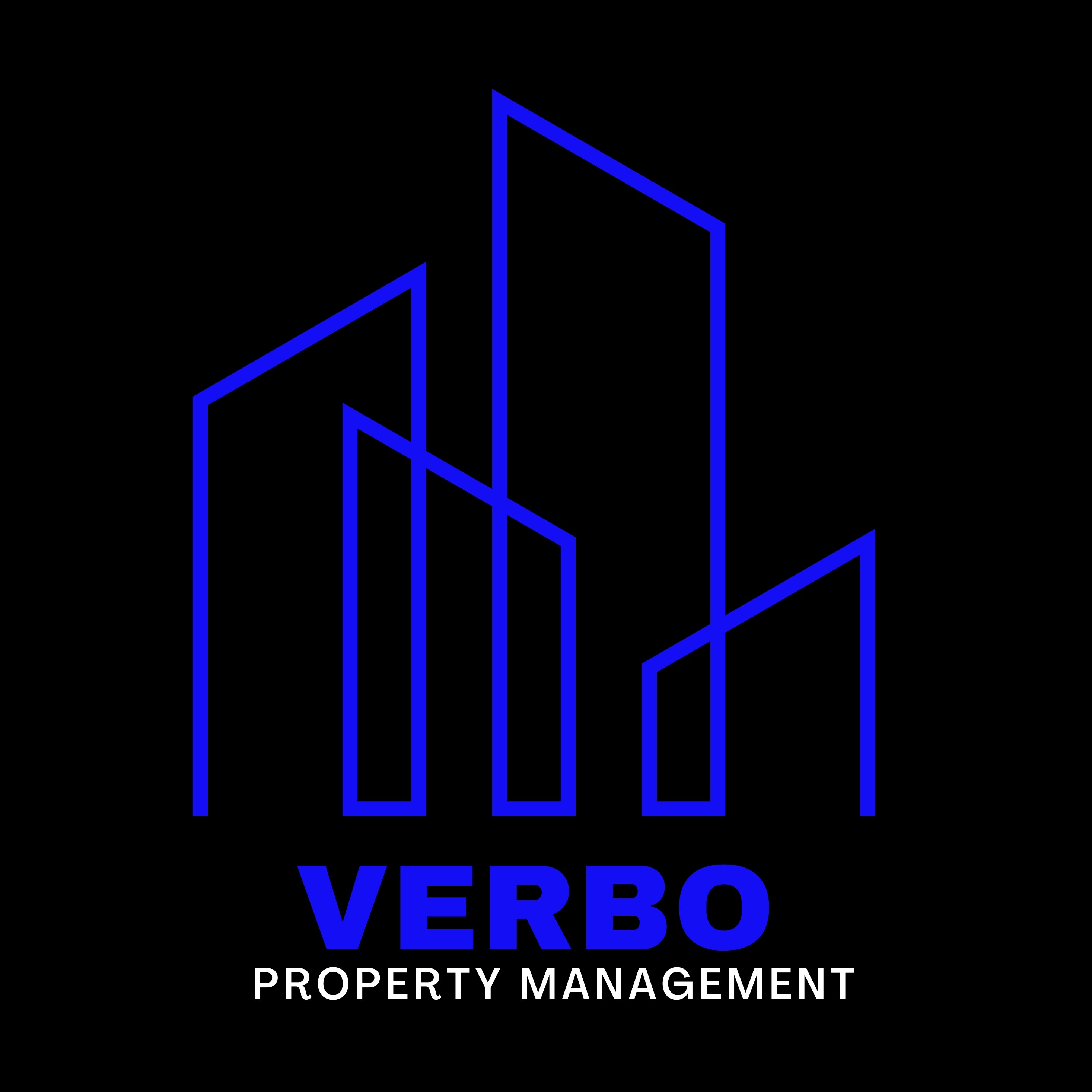 VERBO MANAGEMENT INC logo