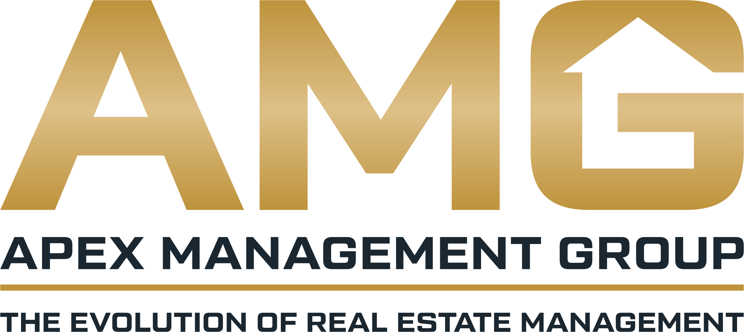 Apex Management Group LLC logo