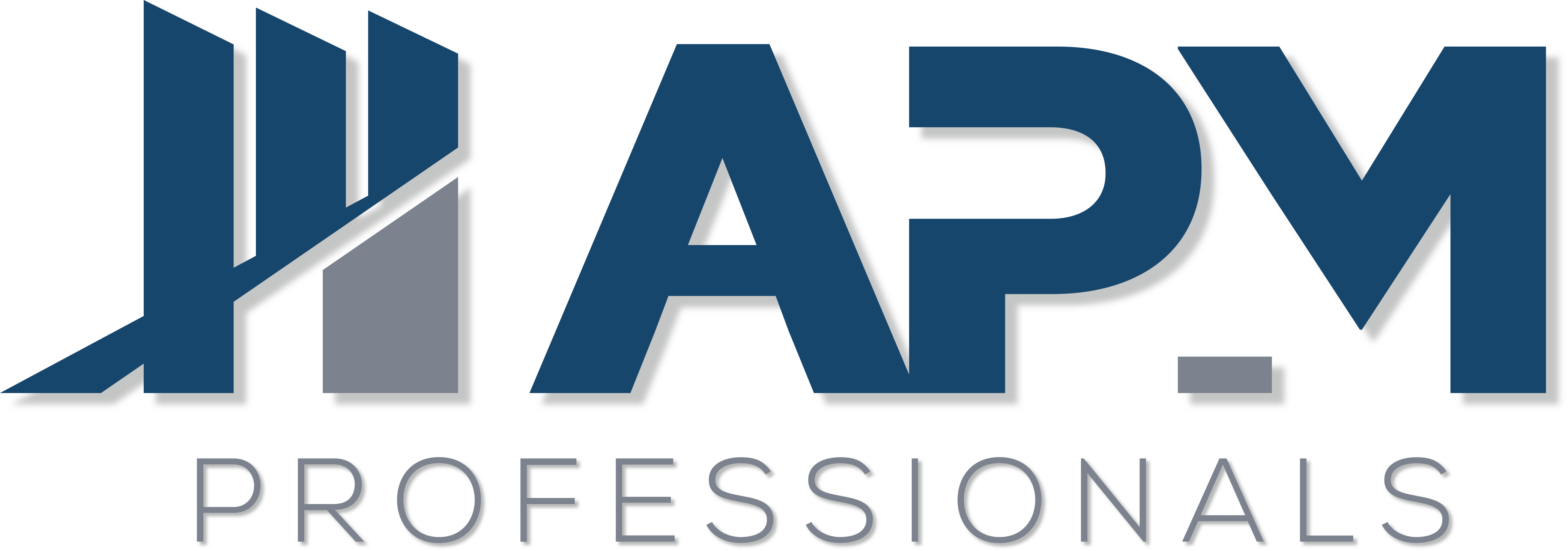 APM Professionals logo