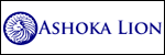 Ashoka Lion Consulting - Association Management Houston, 13277