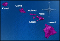 Peterson Properties of Hawaii