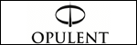 Opulent Real Estate Group Llc, 13647